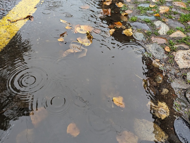 Puddle